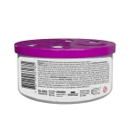 AMBIENTADOR GEL 70 GR CHICLE - Imagen 2